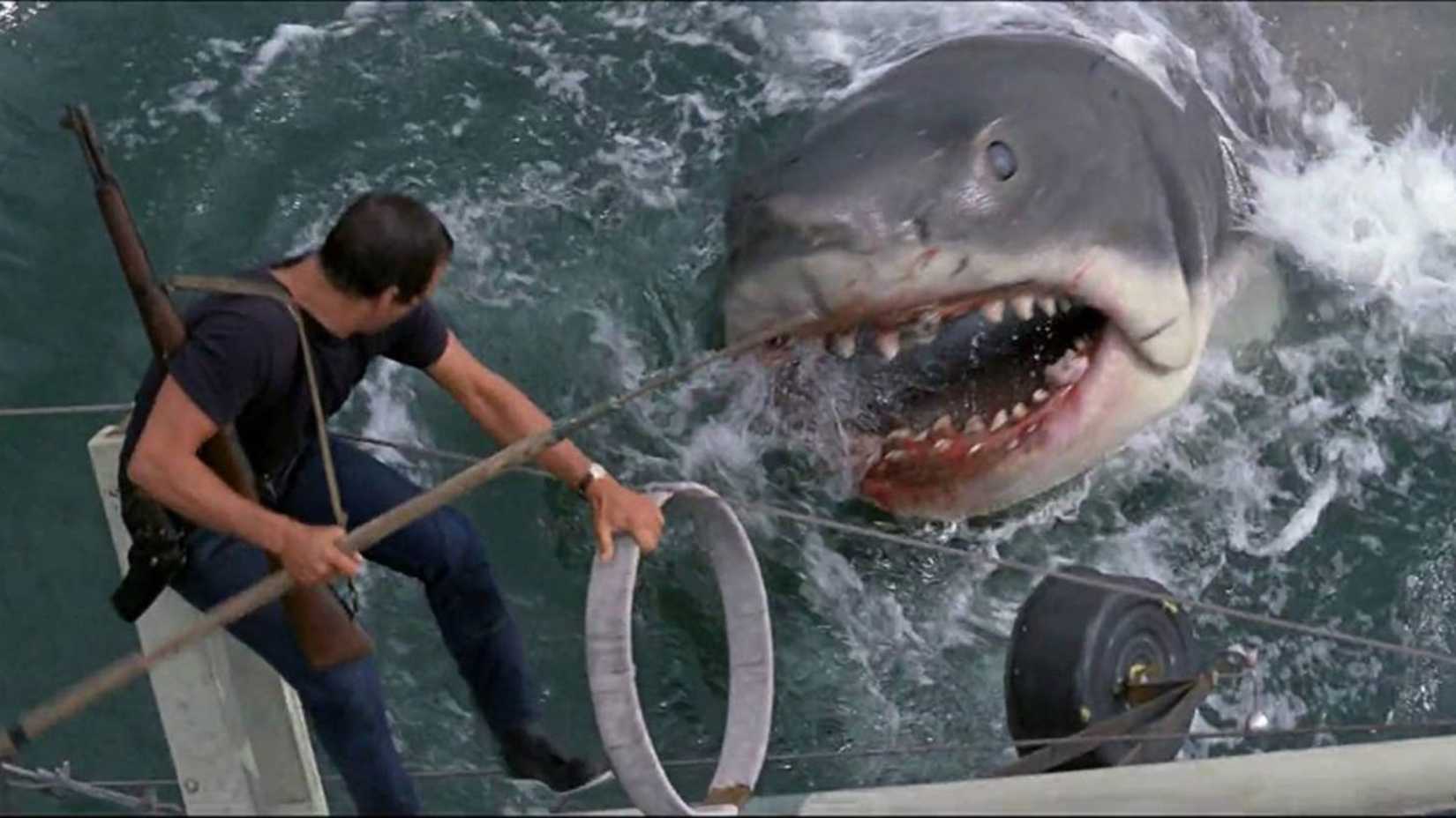 Quentin Tarantino Says 'Jaws' Is the Greatest Movie Ever Made