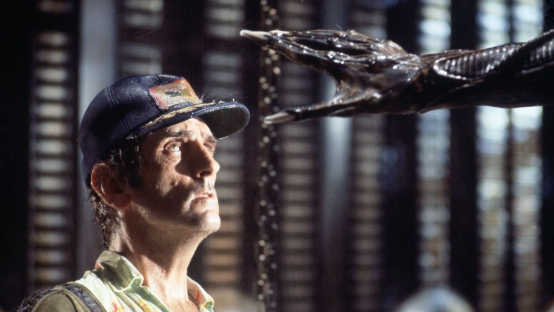 Forget 'The Dog Stars,' Ridley Scott's Essential 10/10 Sci-Fi ...