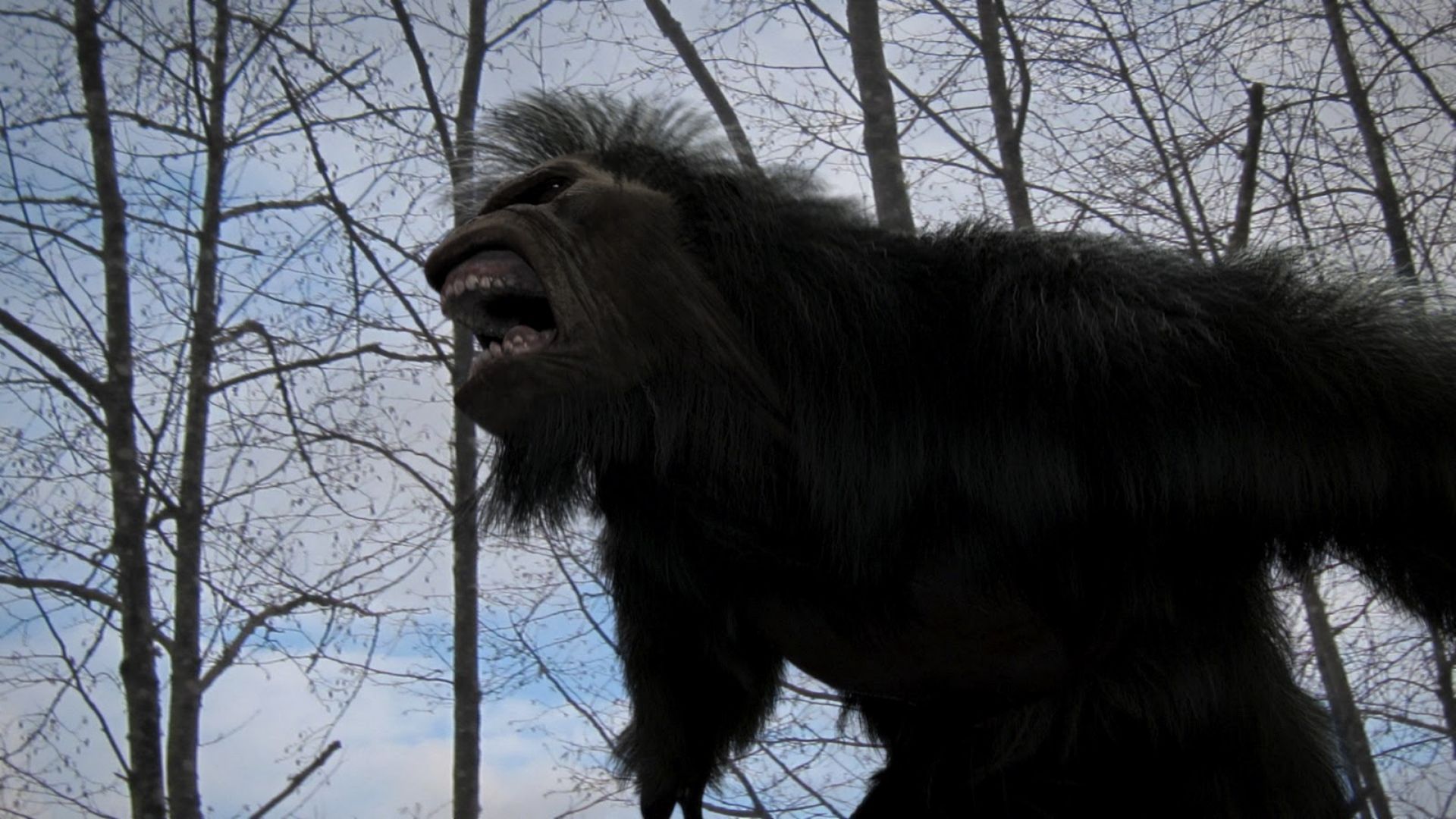 Bigfoot Revenge Thriller 'Wildman' Picked Up by John Wick Producers