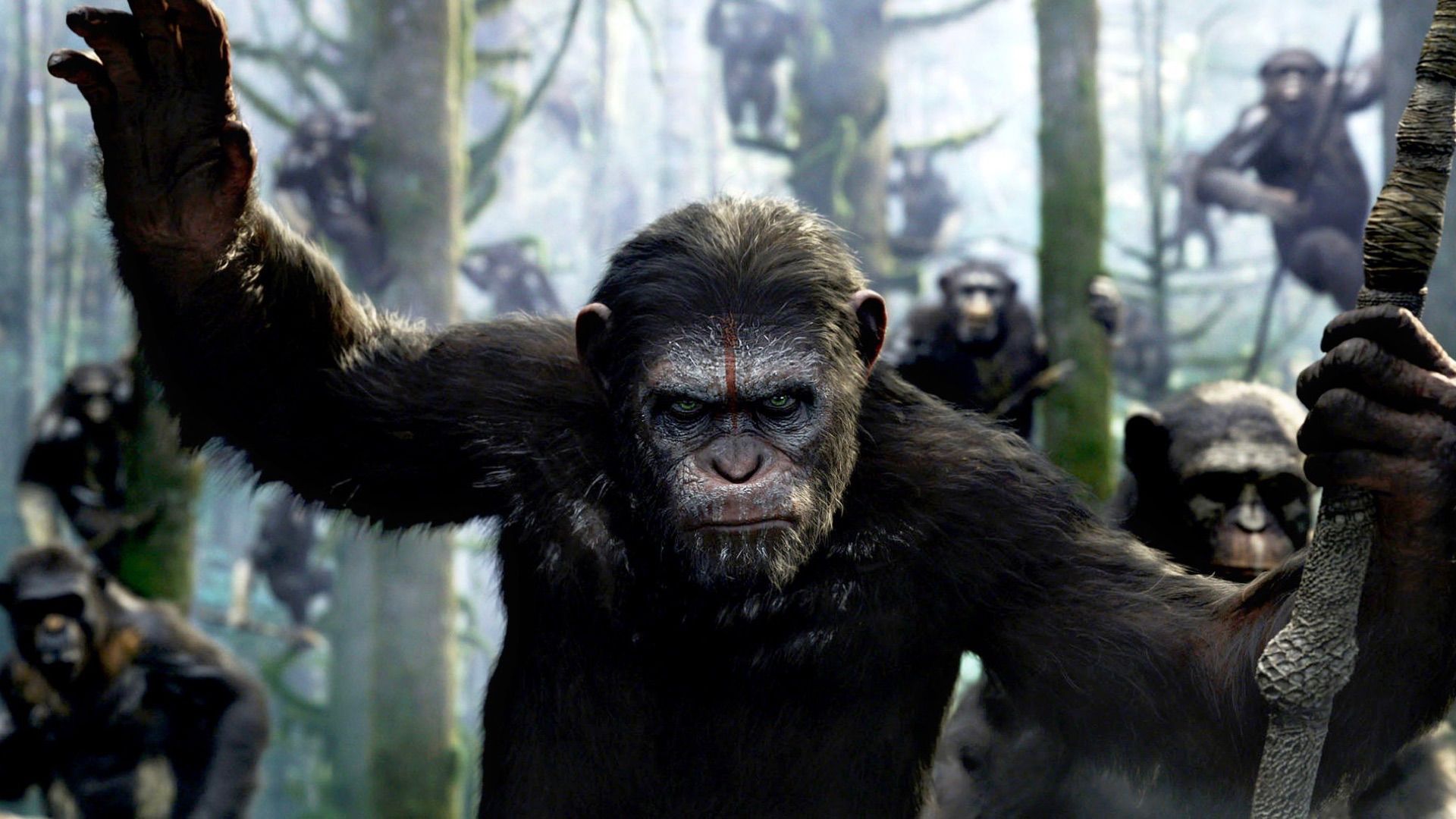 'Kingdom of the Planet of the Apes' Sequel Talks Now Happening, Wes ...