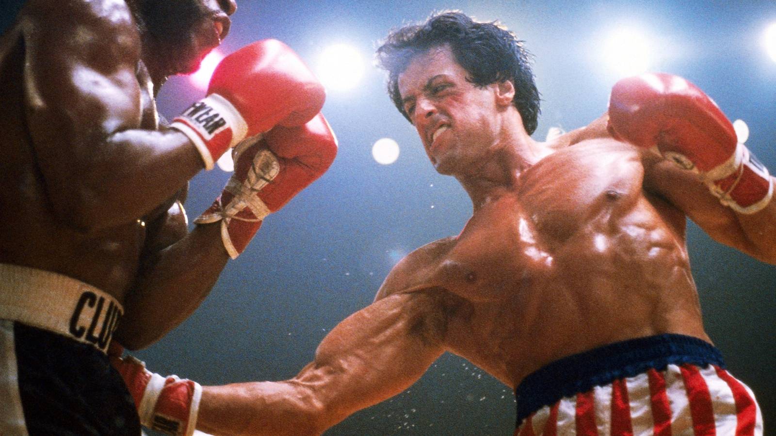 Sylvester Stallone Offers Exciting Update on Rocky Prequel Series