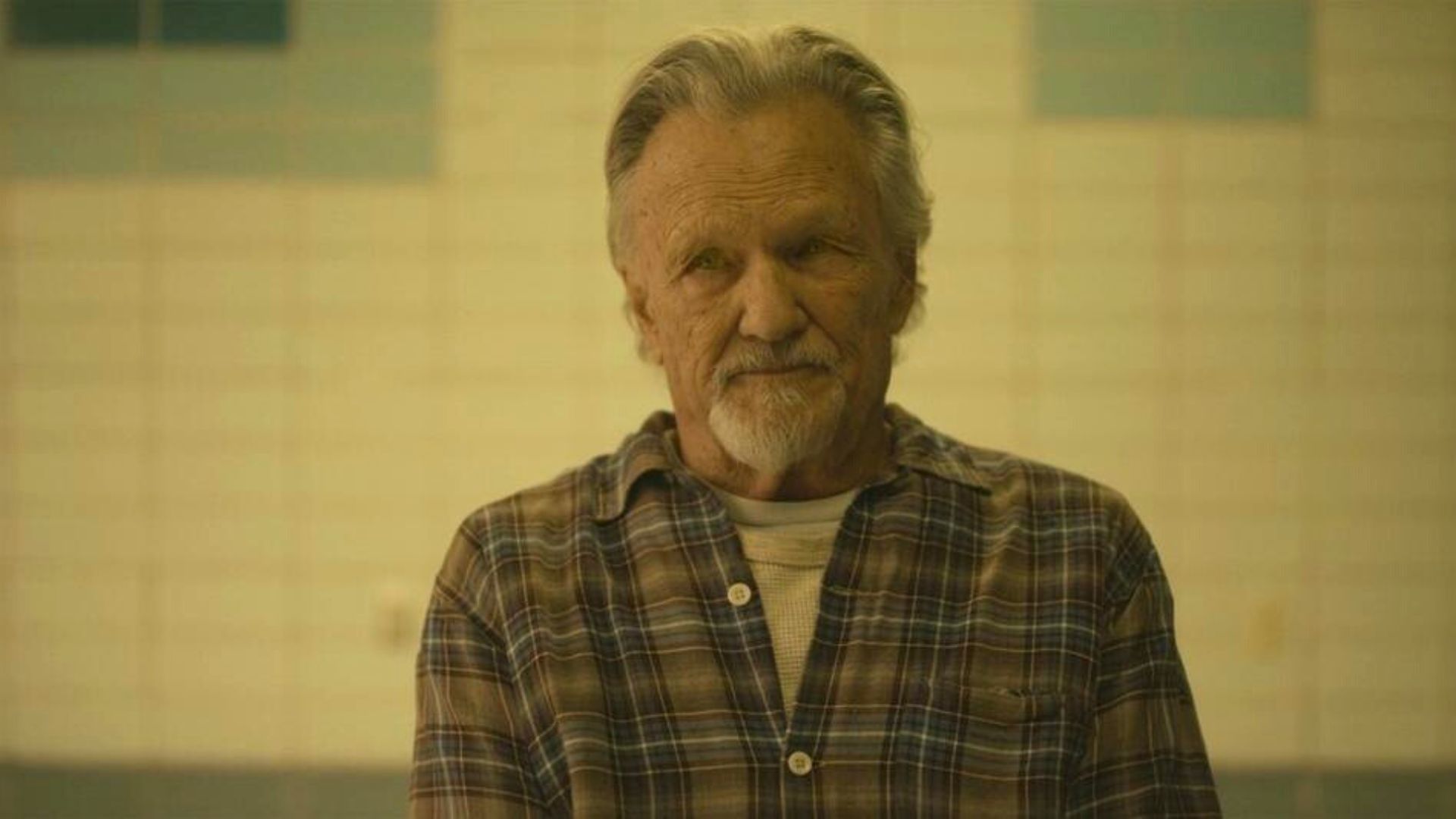 Kris Kristofferson's Best Performances, Ranked