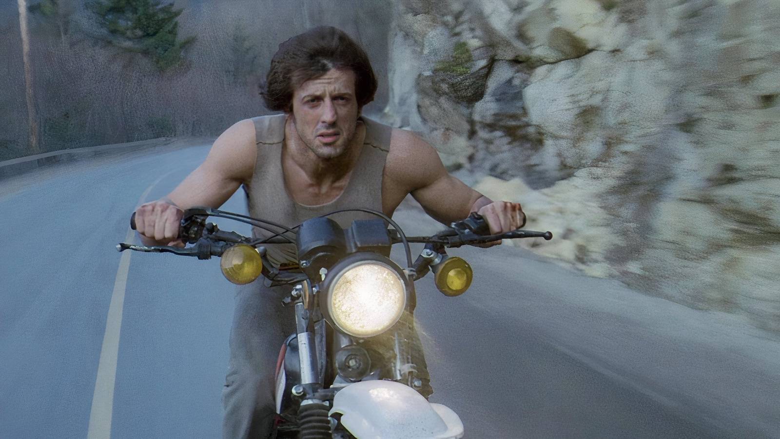 44 Years Later, Sylvester Stallone Admits His Gritty Action Thriller ...