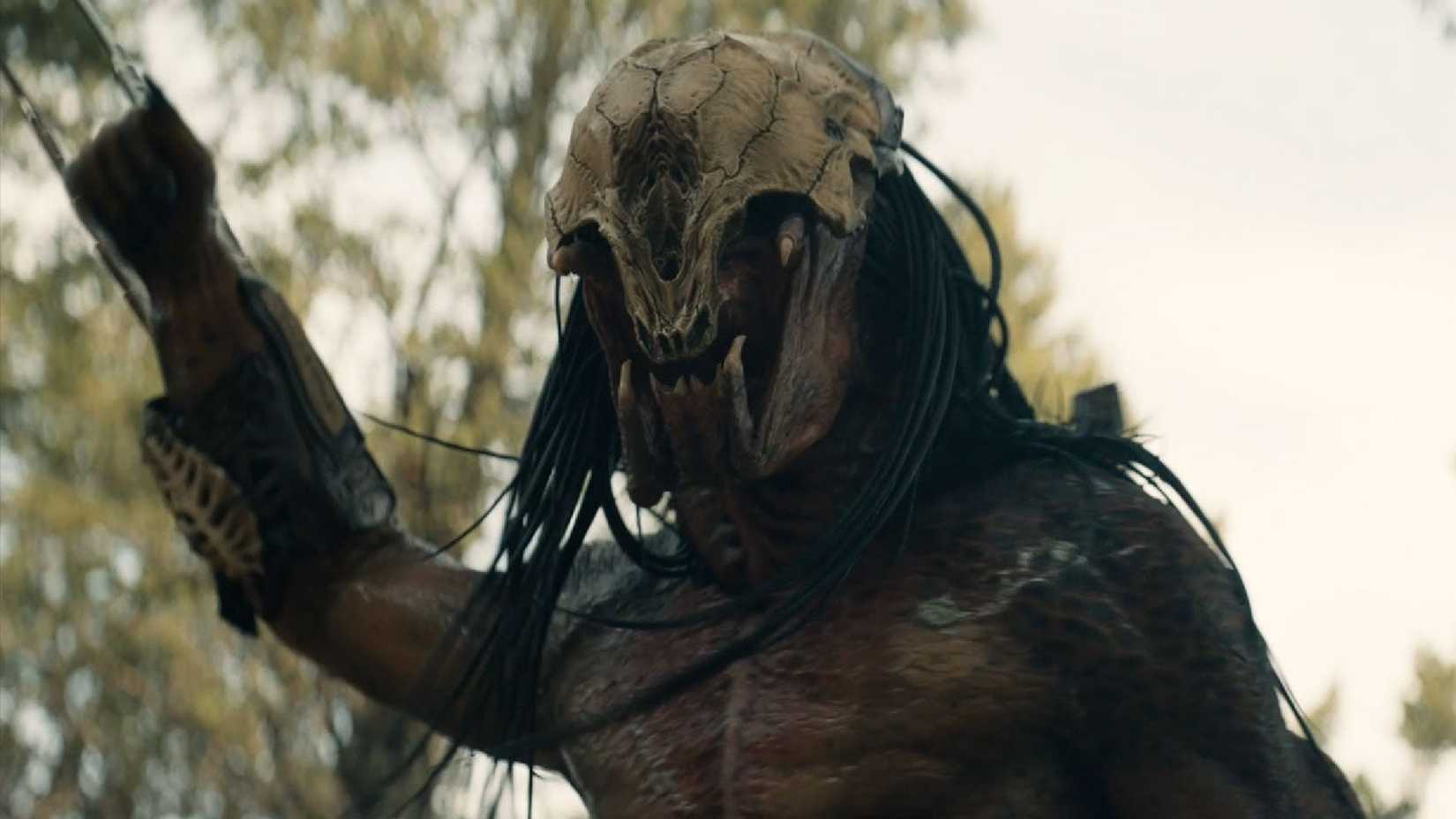 Predator Explained Every Predator and Their Weapons and Tactics, Explained