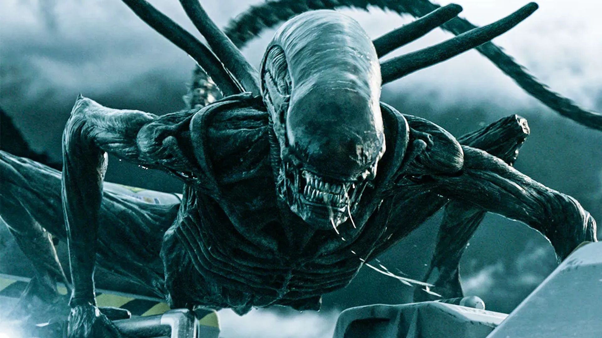 Ridley Scott's 'Alien: Covenant' Sequel Could Connect Two Franchise Chapters