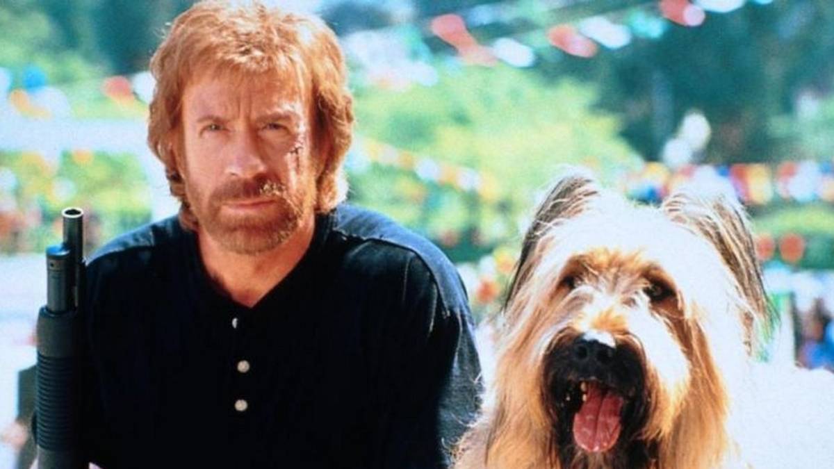 Rambo Rip-Offs, image size:1200x675