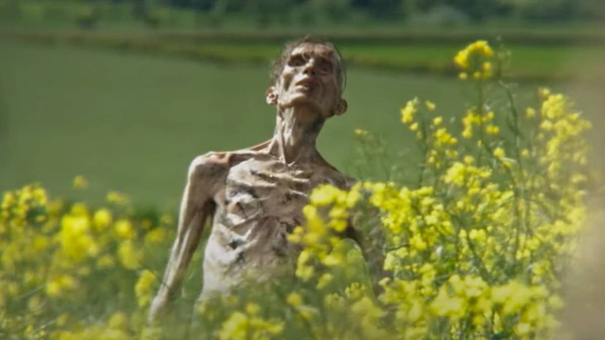 28-years-later-zombie-is-not-cillian-murphy-according-to-actor