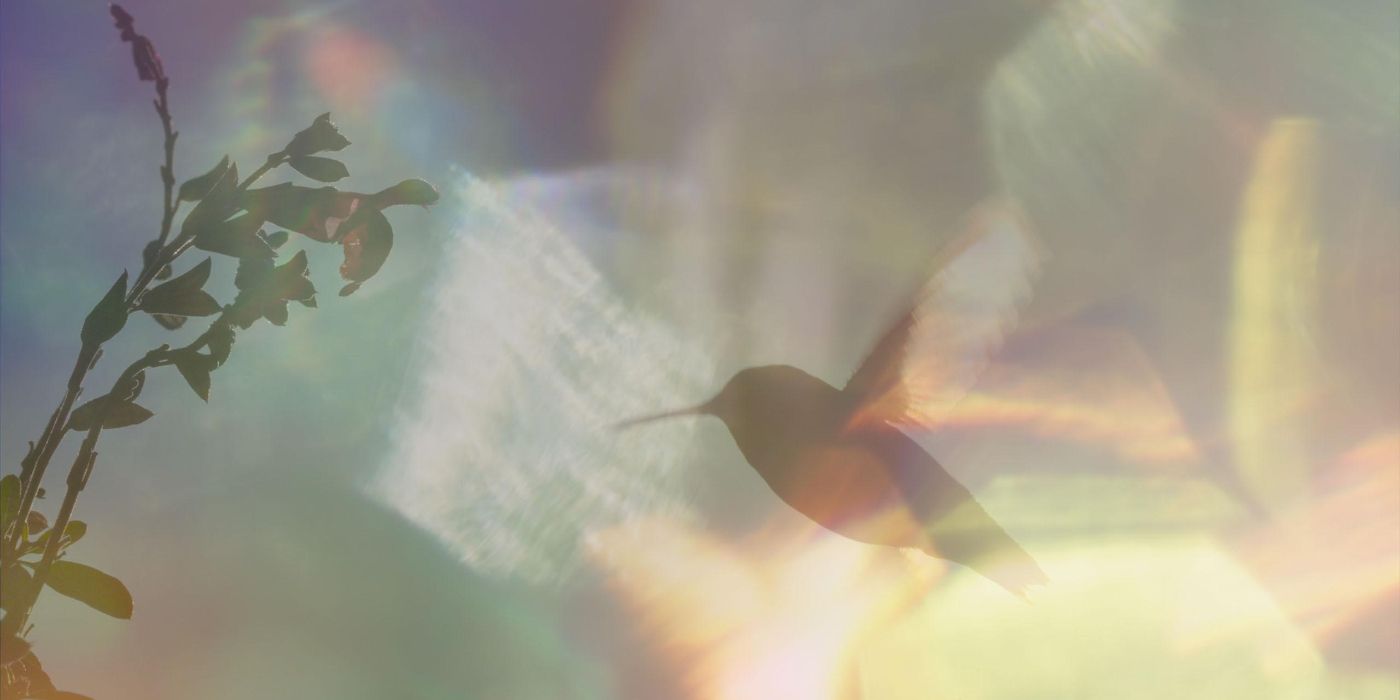 Every Little Thing | MovieWeb