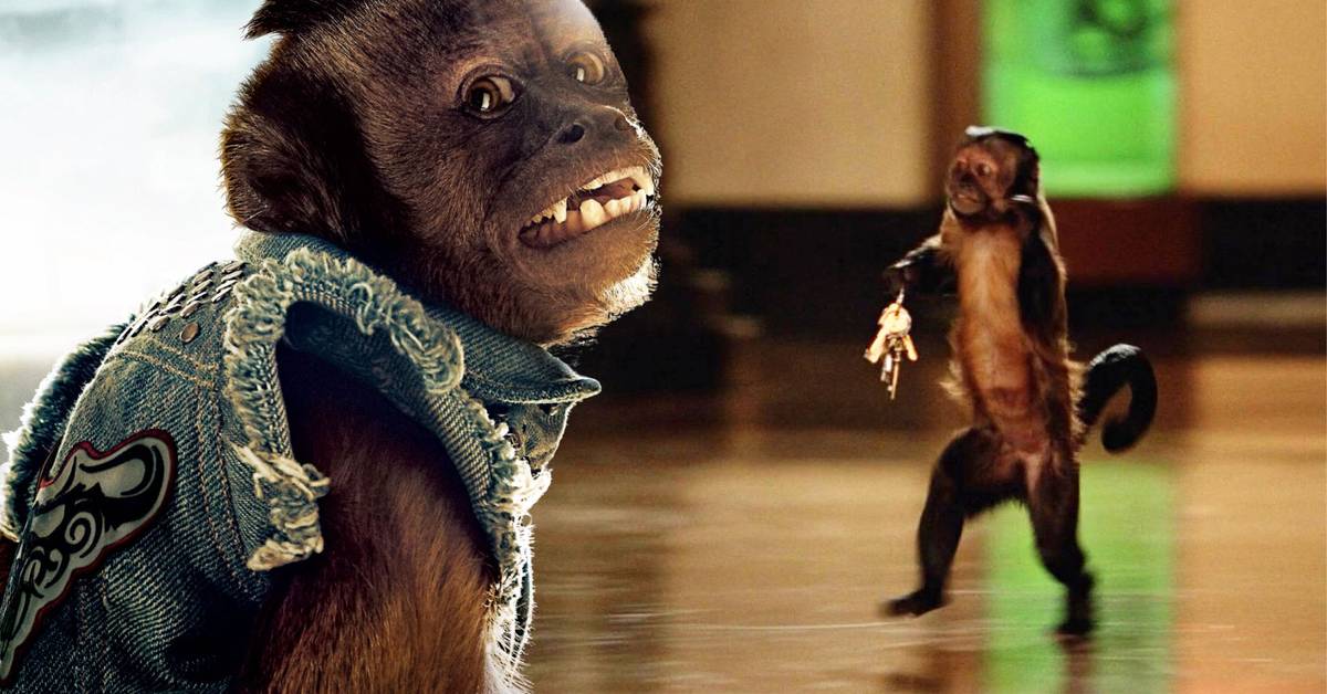 monkey smoking cigarette hangover 2 Believe It or Not, This Monkey Has Grossed $2.5 Billion at the Box Office