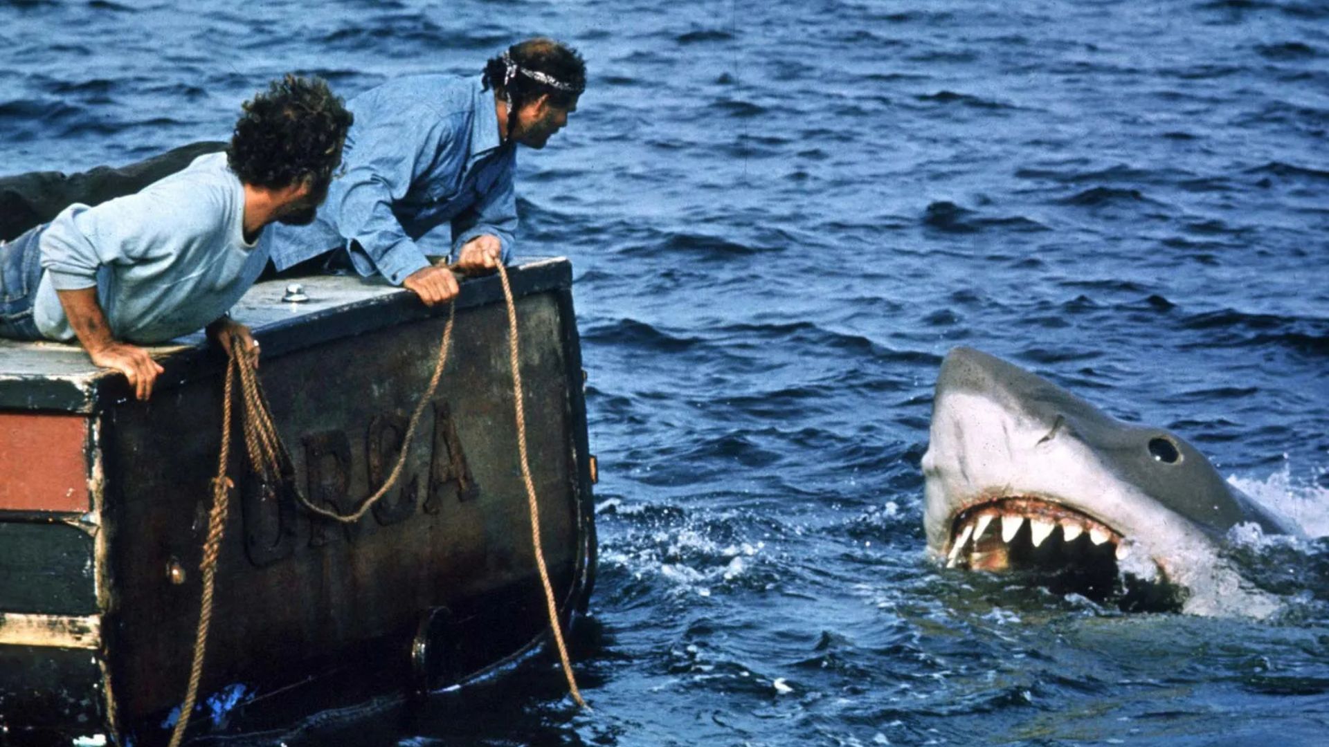 Years Later, Steven Spielberg Still Regrets One Harsh Reality About 'Jaws'