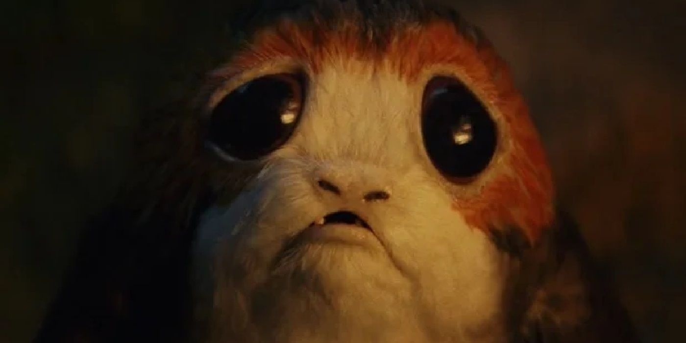 10 Cutest Characters in 'Star Wars,' Ranked