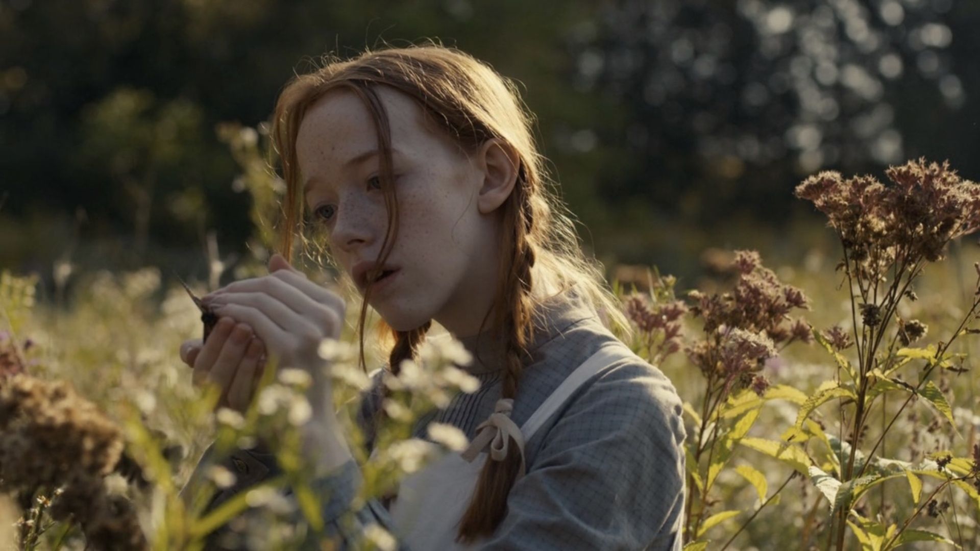 Everything We Know About the ‘Anne of Green Gables’ Anime Remake
