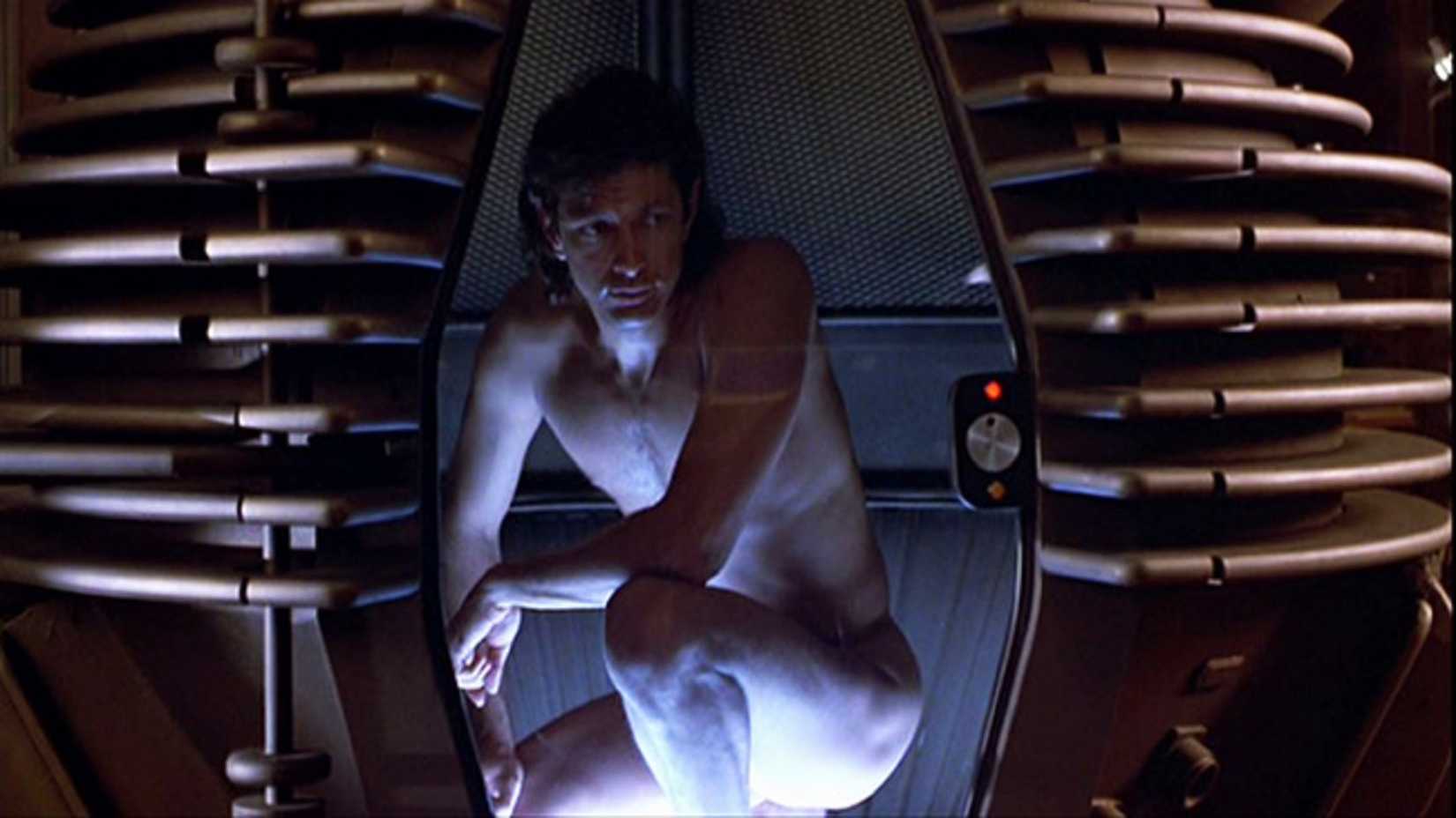 Jeff Goldblum in The Fly 