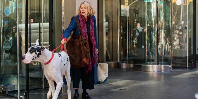 Naomi Watts in The Friend (2025)