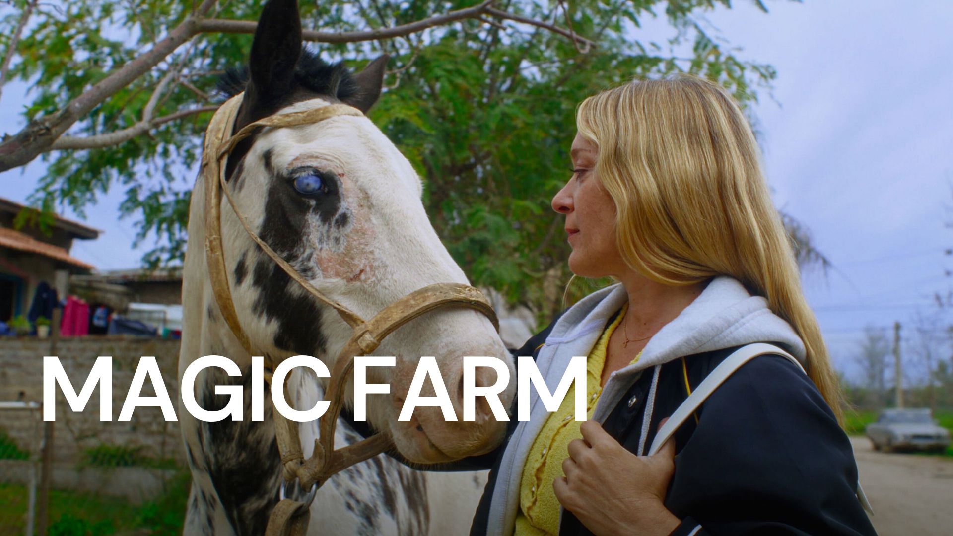 Magic Farm | MovieWeb