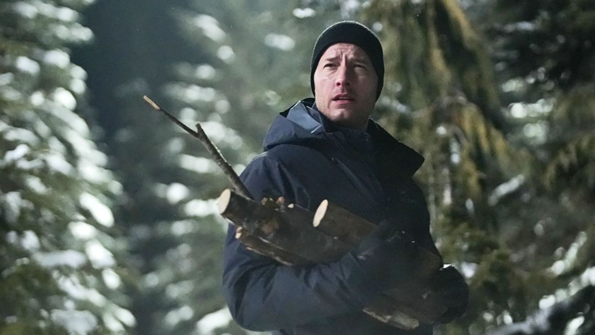 Colter in the wilderness holding firewood looking up in Tracker