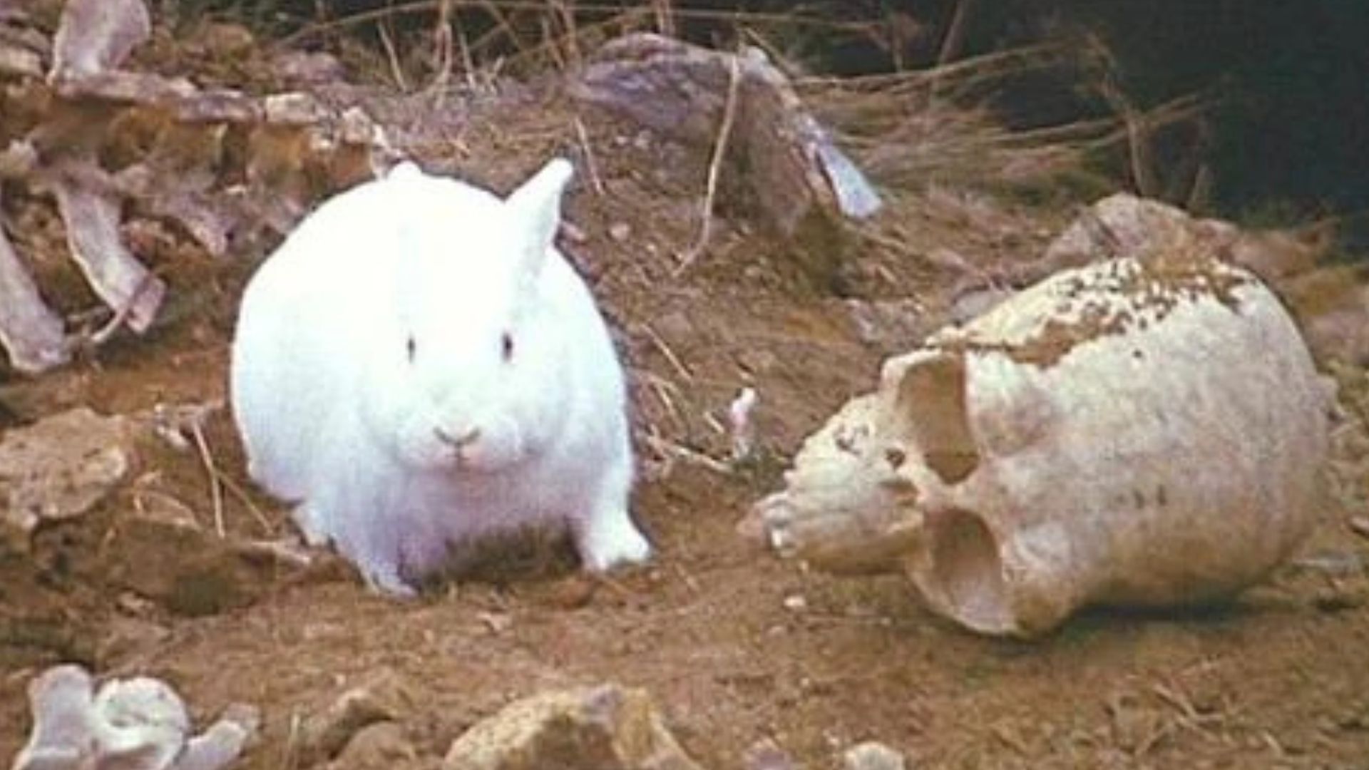 50 Years Ago, Monty Python Changed Comedy Forever