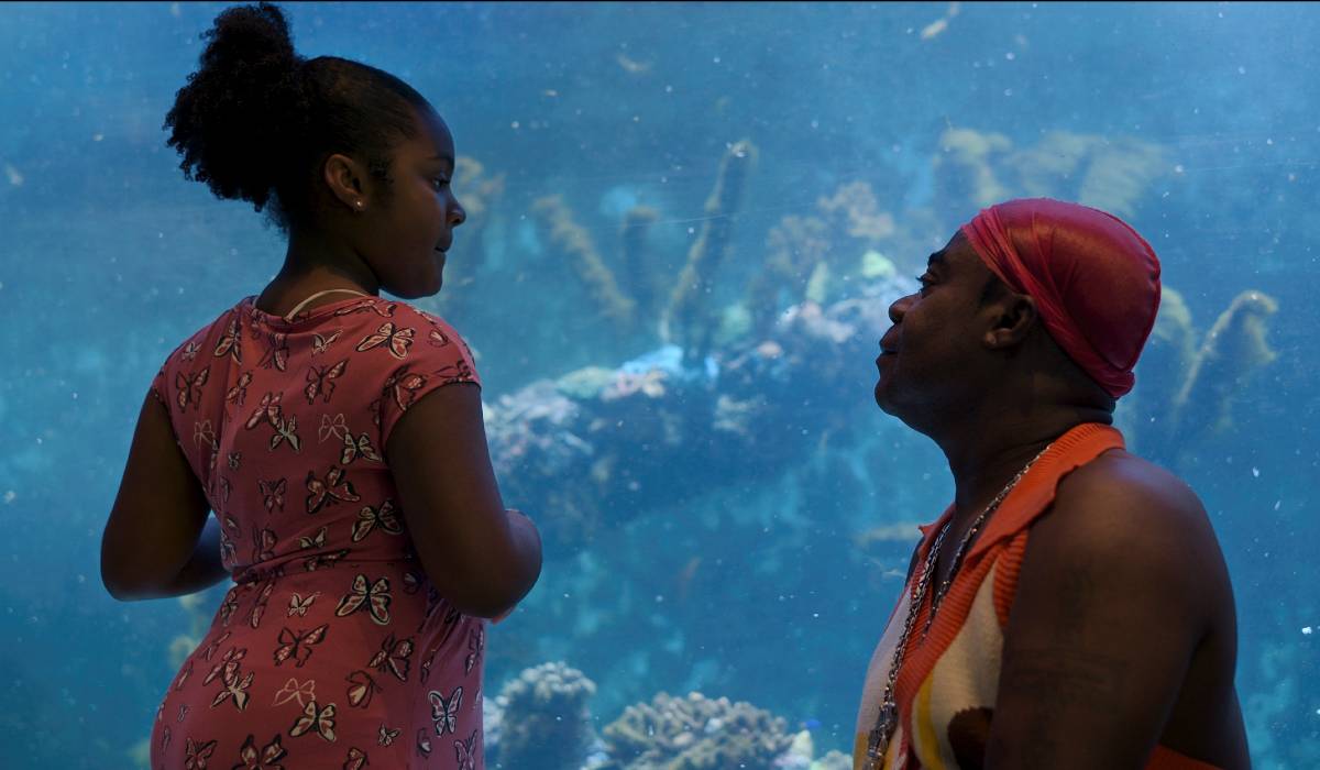 Octopus' Review: Phoebe Waller-Bridge Narrates Breezy Nature Doc