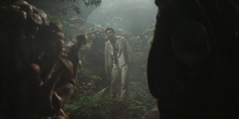 The Lovecraftian Kaiju Movie 'Matango' Is Streaming Free