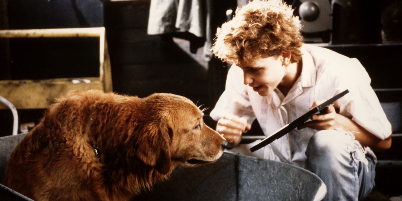 Before 'Good Boy,' Watch the Underrated Sci-Fi Horror Movie 'Watchers'