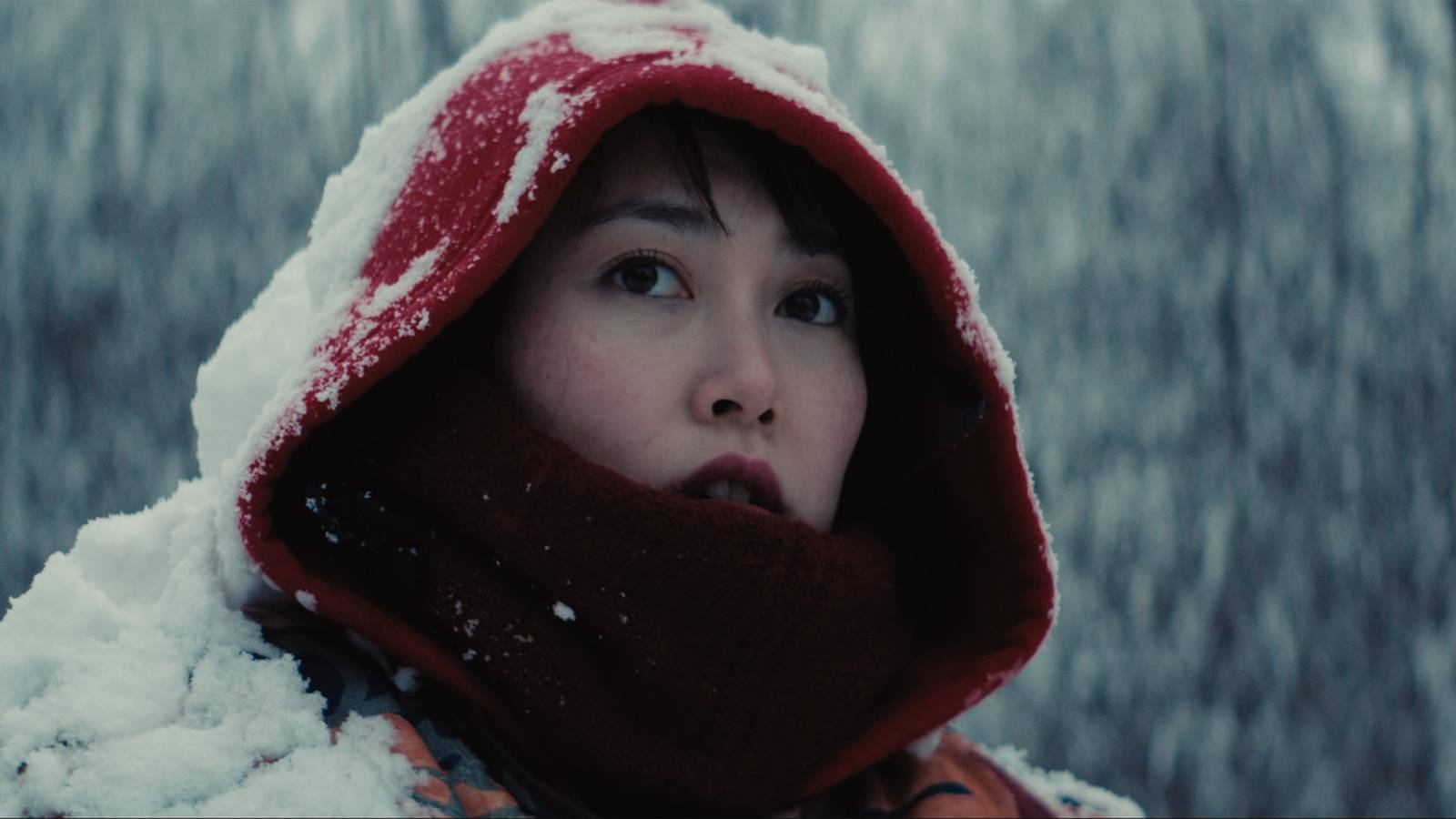 Kumiko, the Treasure Hunter