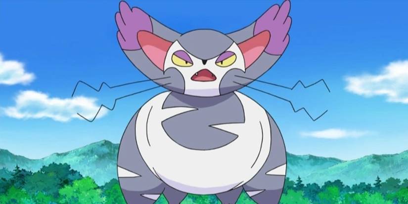 Purugly the Pokemon