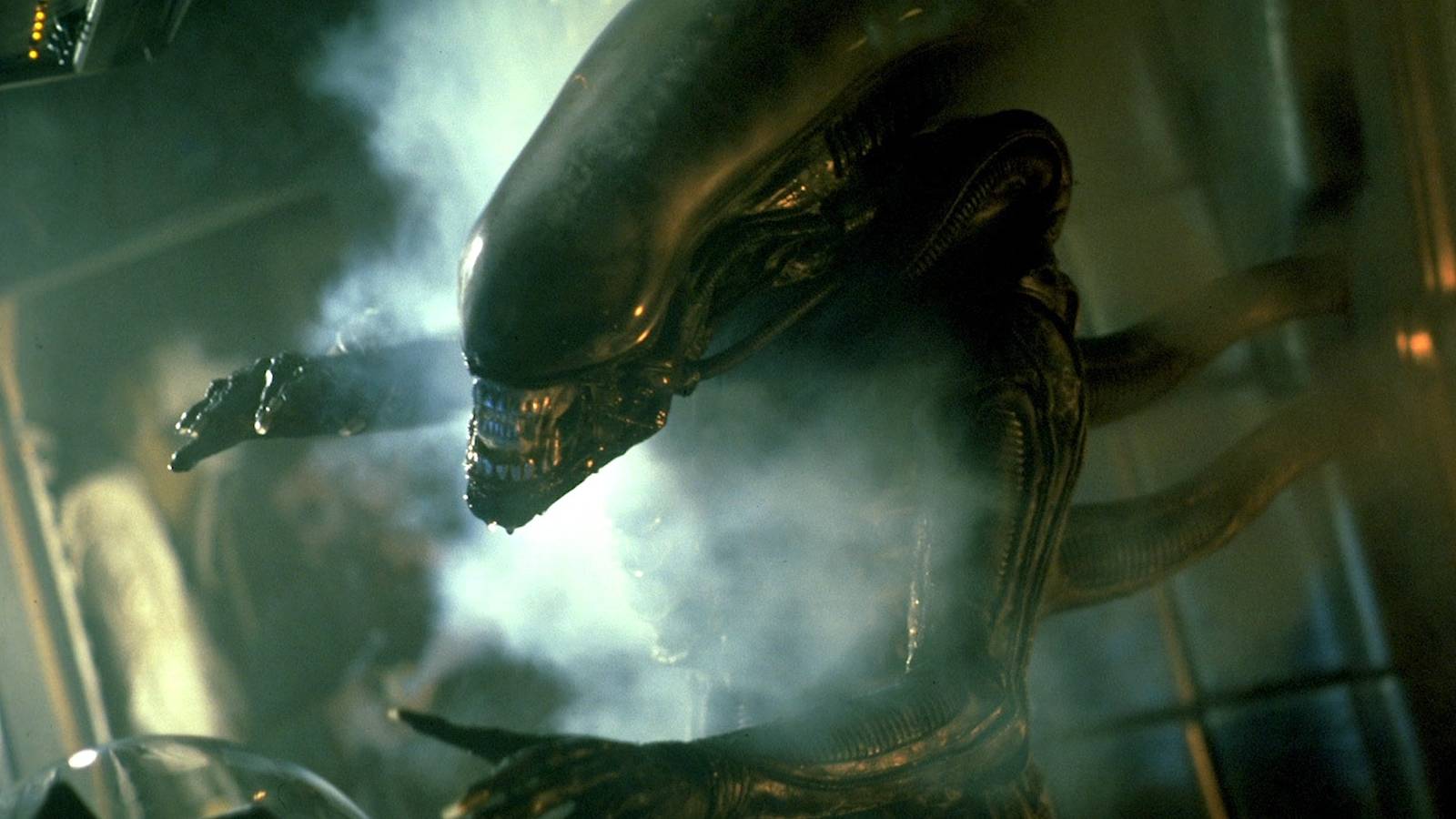 Alien Graba Barbara Gips, Tagline Writer Behind 'Alien' & More, Dies Aged 89