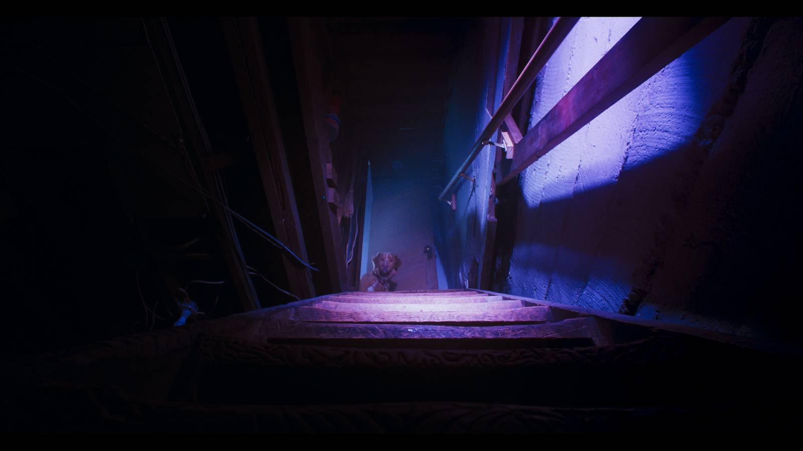 Der „emotional niederschmetterndste“ Film des Jahres 2025 steigerte die ...