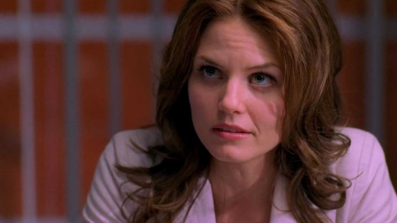 Jennifer Morrison as Dr. Allison Cameron