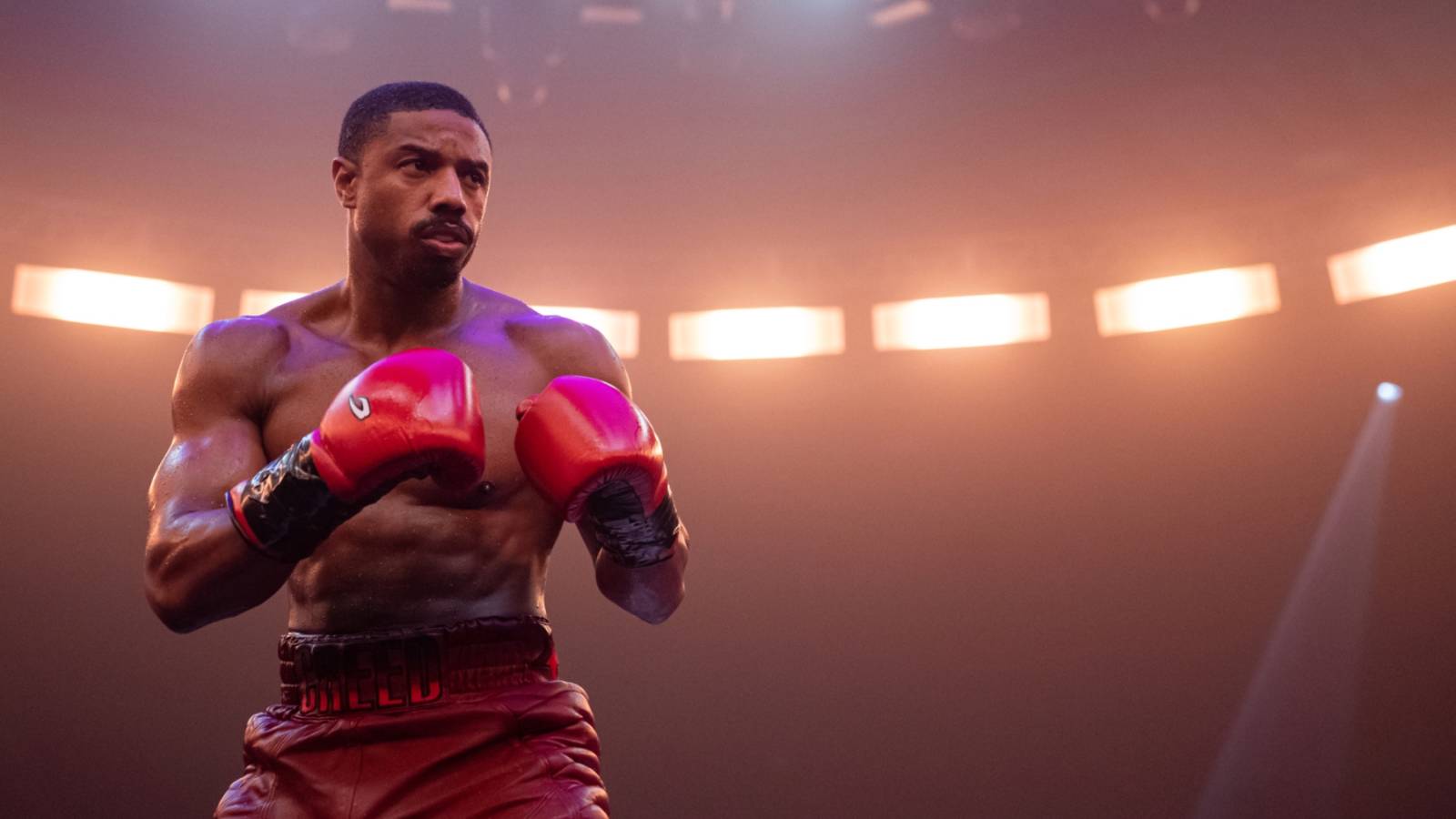 Michael B. Jordan Shares Update on 'Creed IV' and New Spinoff Based on Adonis Creed's Daughter