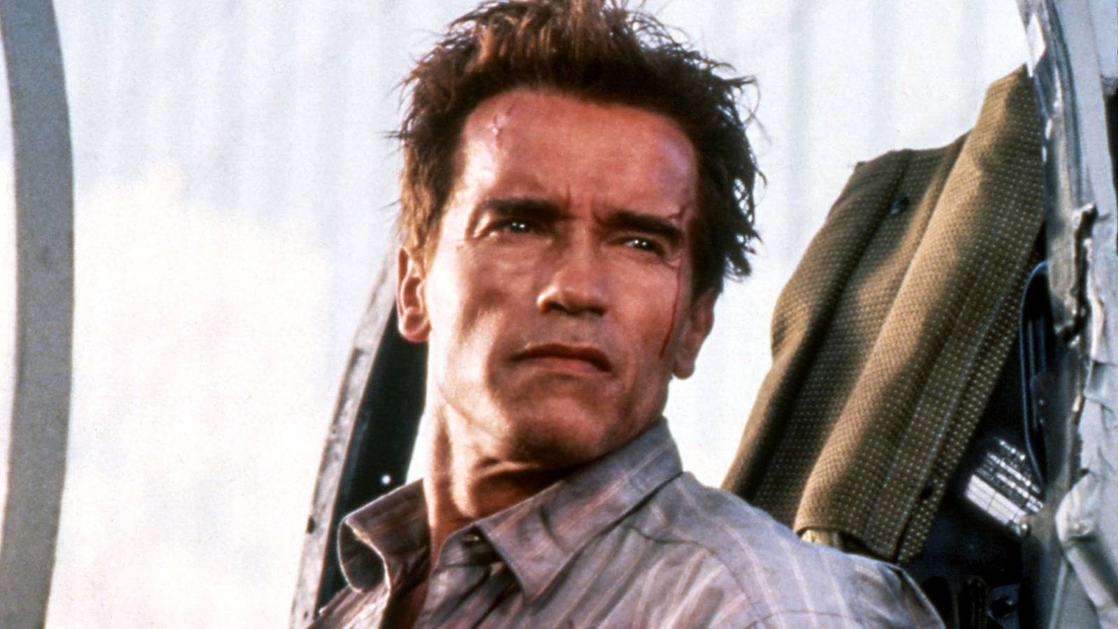 Canceled Arnold Schwarzenegger Action Sequel Is Still Something His Oscar-Winning Co-Star Would Love to See