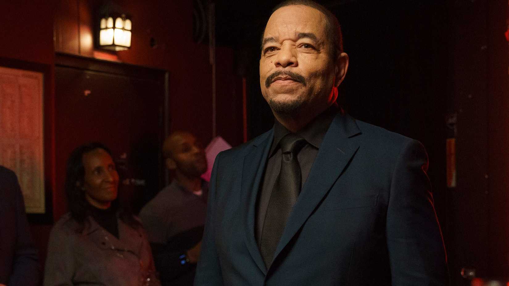 Ice T as Fin in Law & Order: SVU