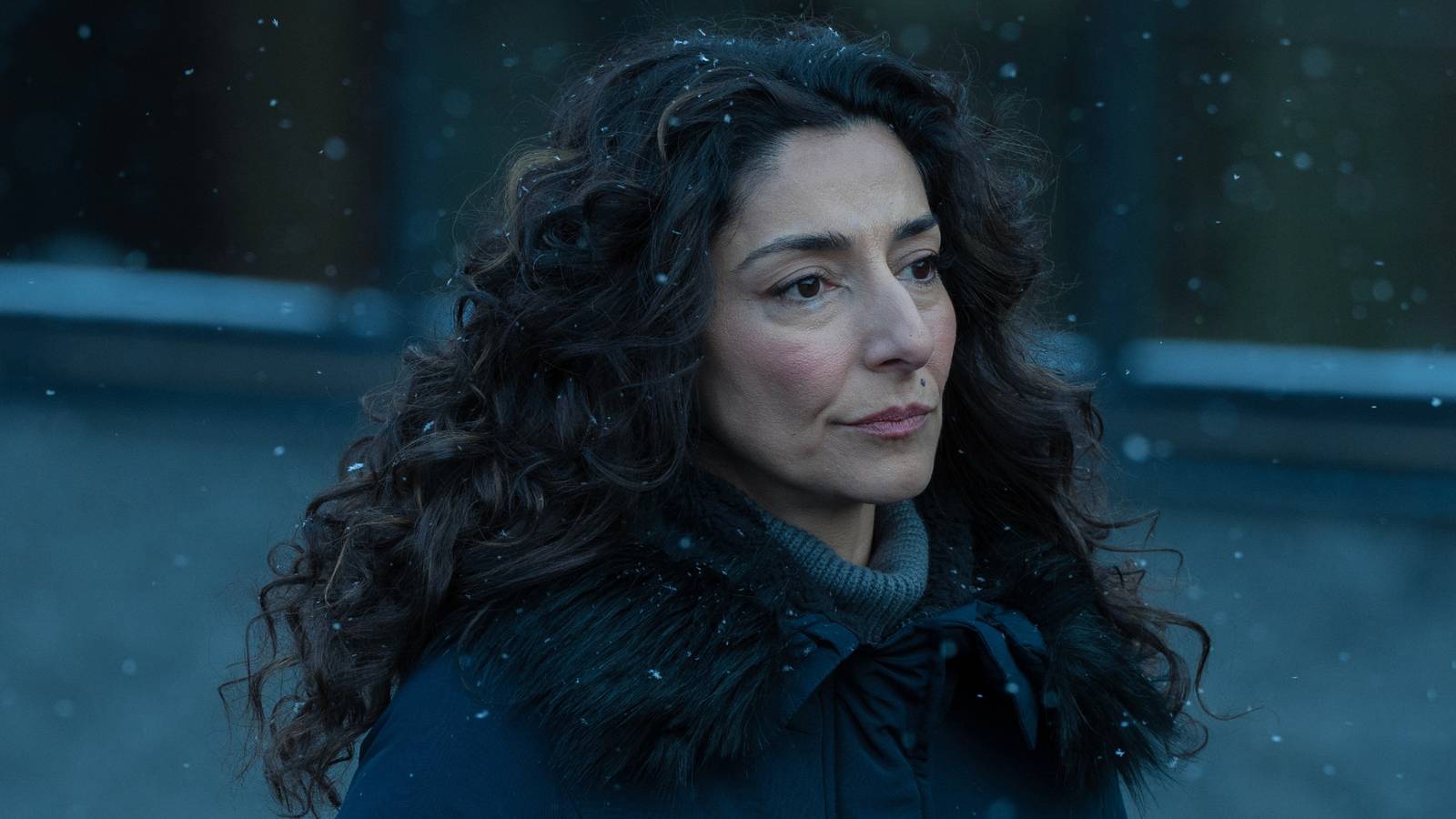 „Mayor of Kingstown“-Star Necar Zadegan erklärt die große Wendung in ...