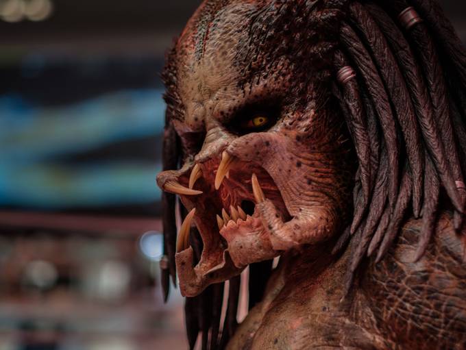 The Most Powerful Predators, Ranked