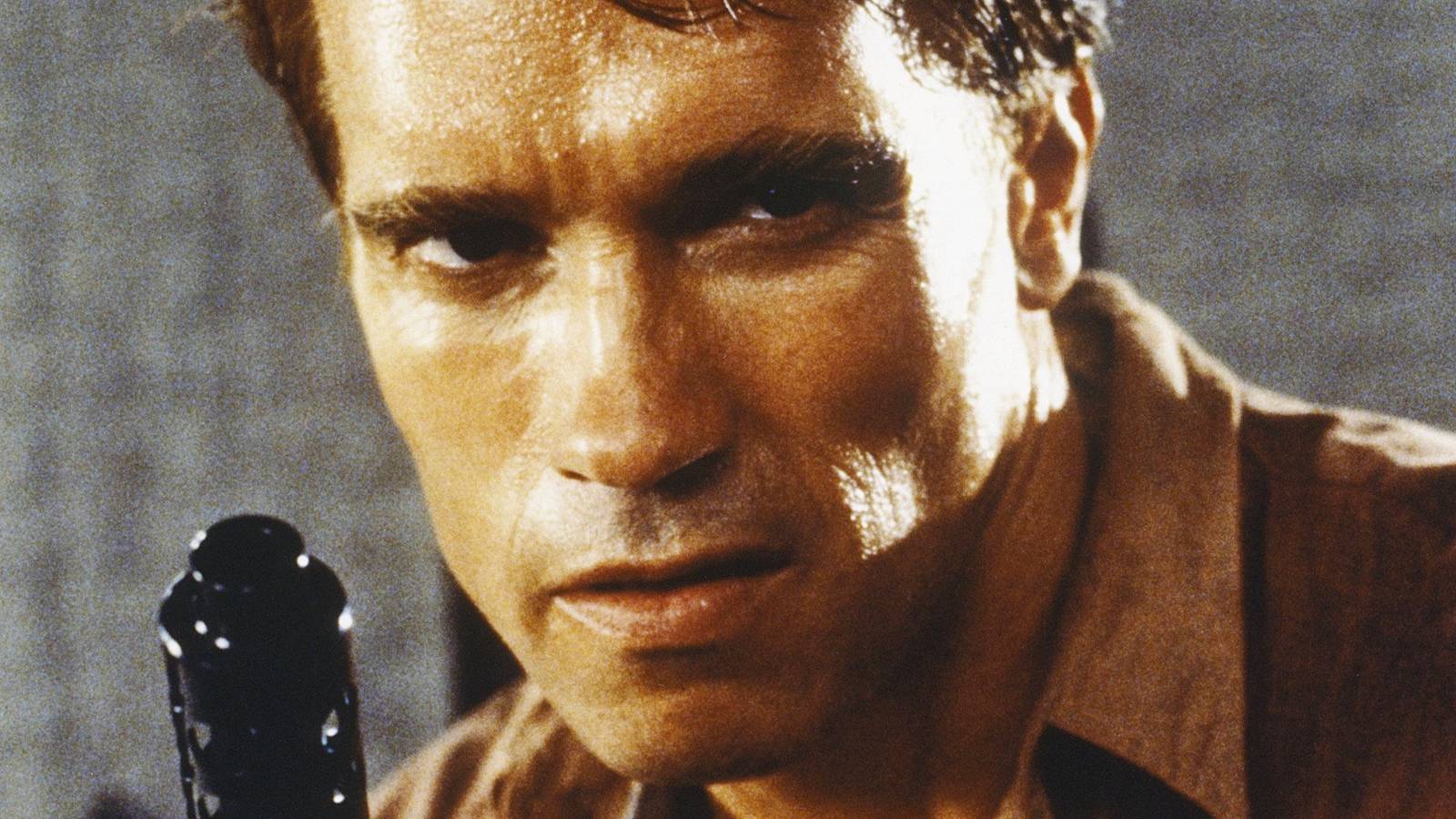 Arnold Schwarzenegger Slams "Stupid" Remake of His Beloved Action Movie Classic