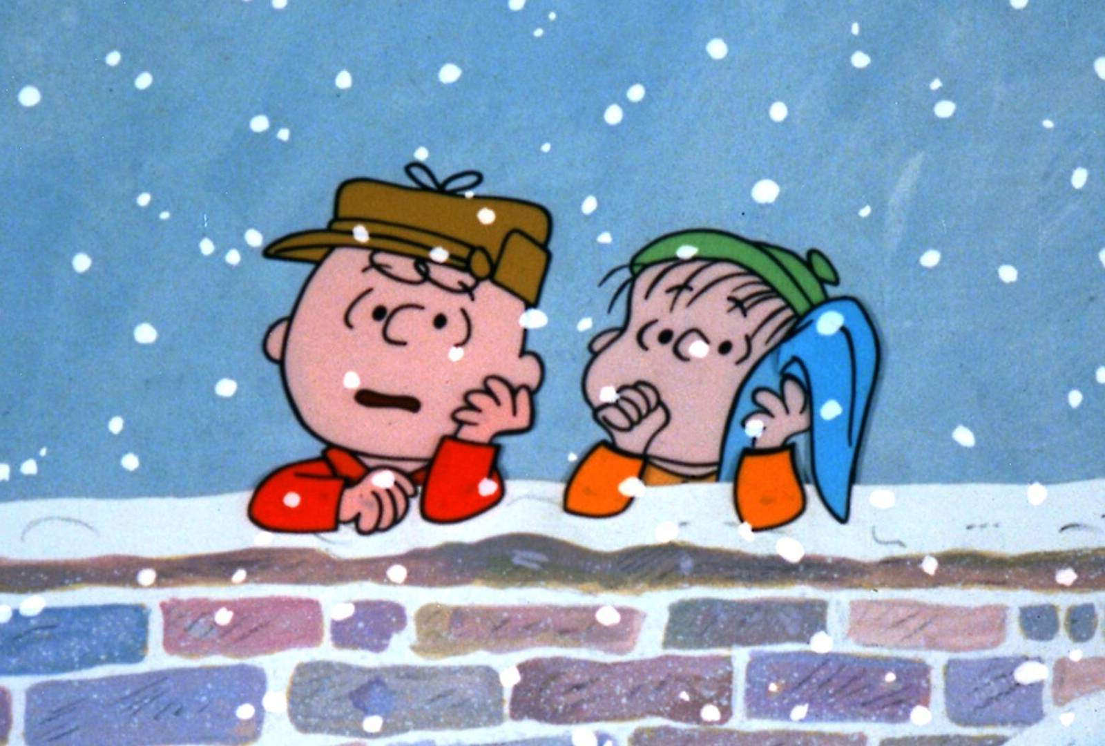 Lot Of 8 Charlie Brown Vhs Tapes W A Charlie Brown Christmas