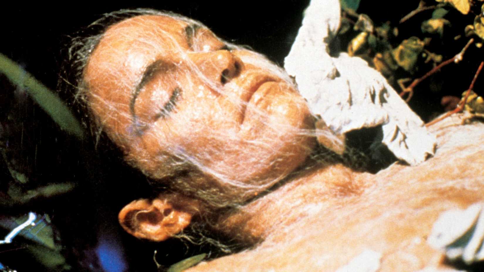 Brooke Adams in Invasion of the Body Snatchers