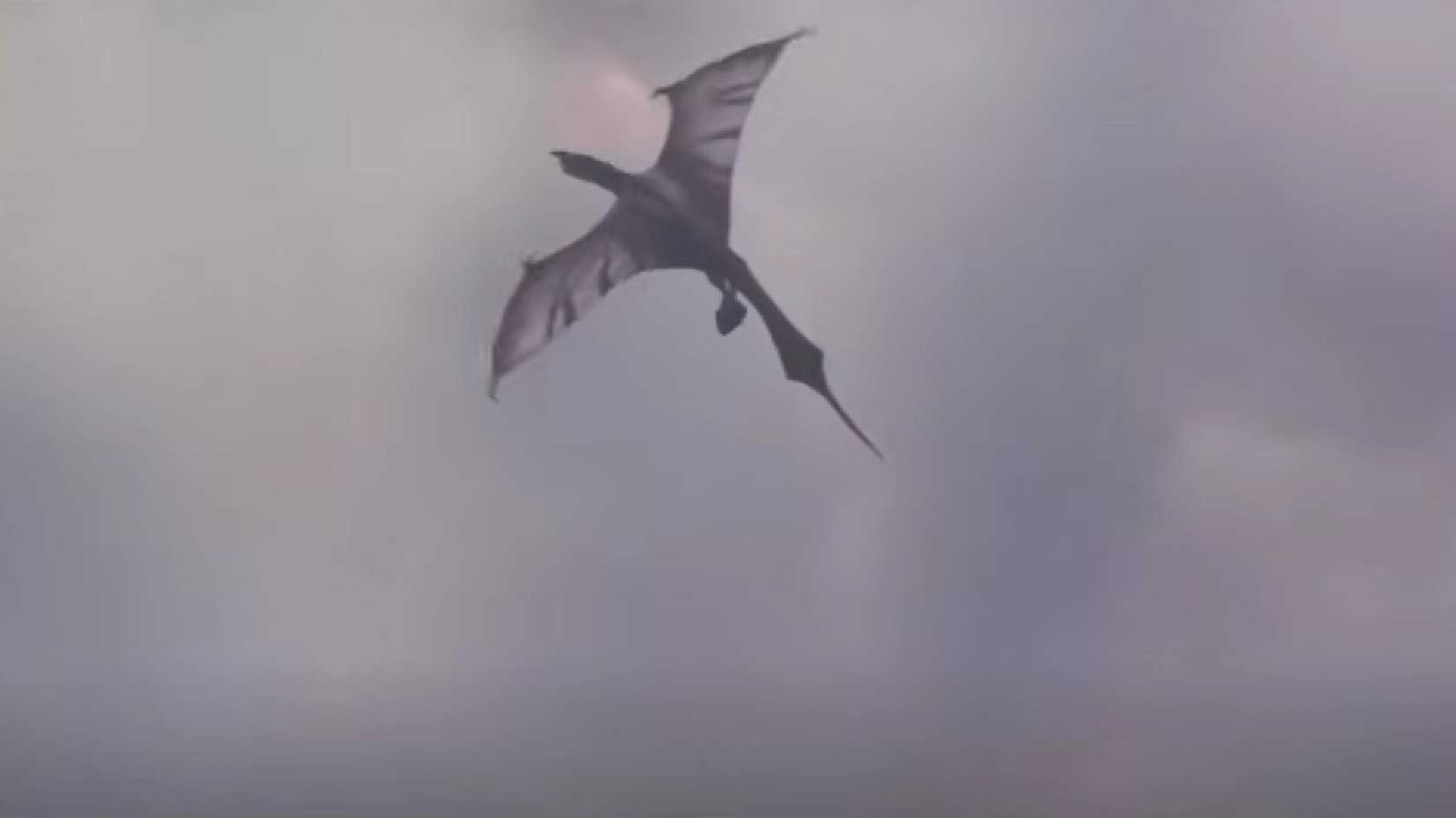 A vulture in Predator: Badlands