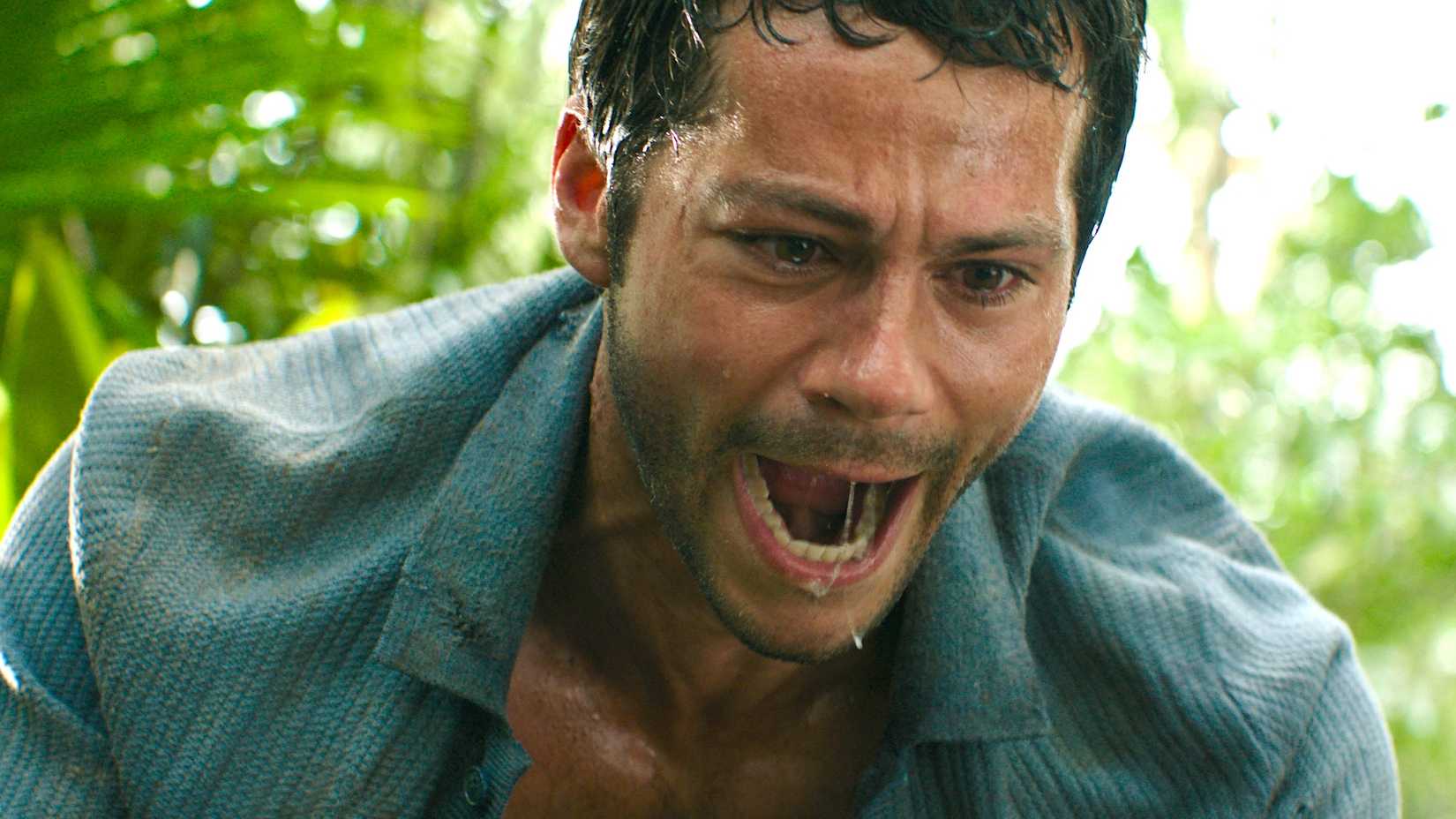 Dylan O'Brien como Bradley Preston em Send Help