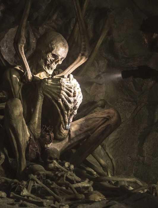 American Horror Story: What Season 12 Is Really About, Explained