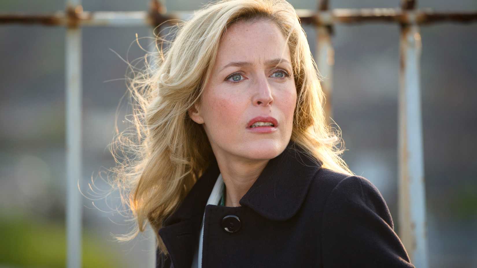 Gillian Anderson in The Fall