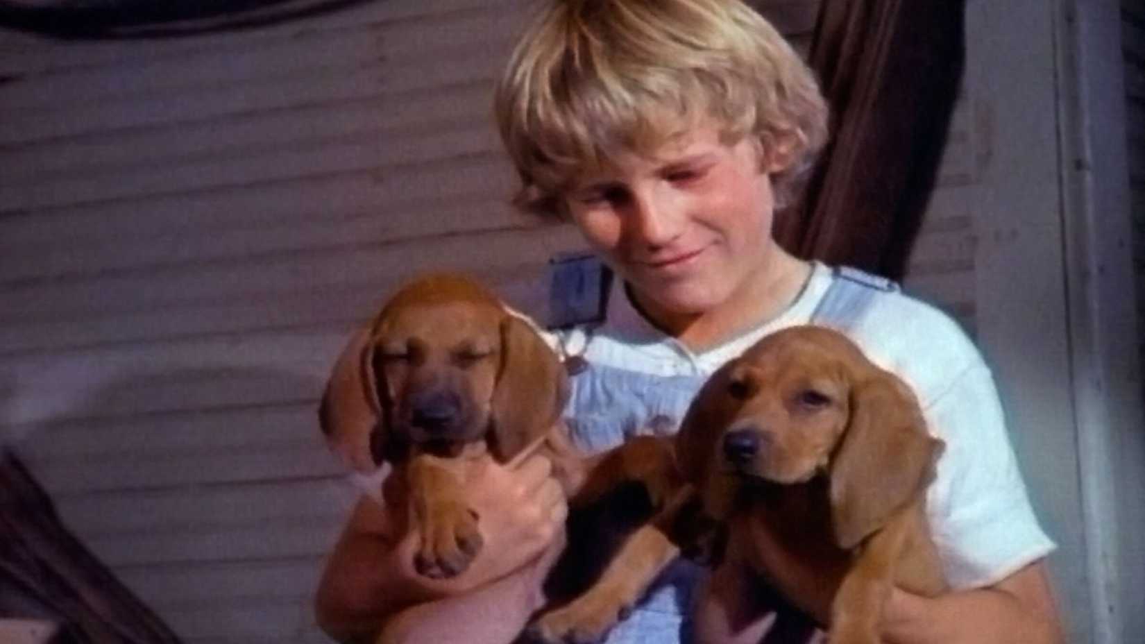 Kid holding dogs in 'Where the Red Fern Grows' (1974)