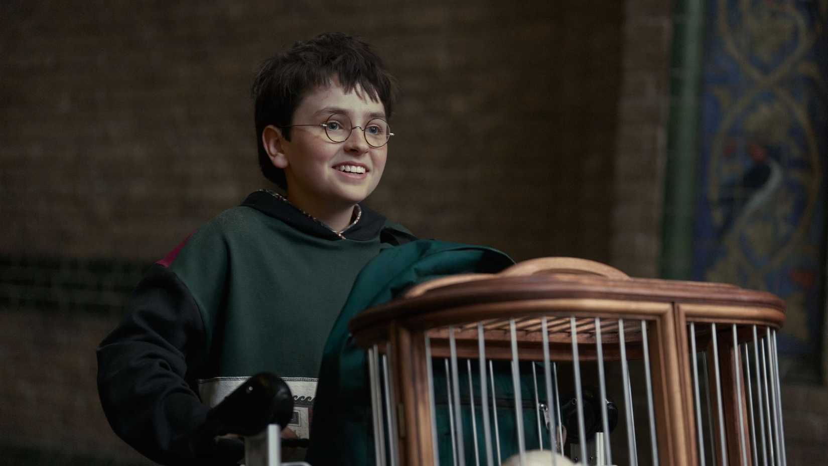 HBO's New 'Harry Potter' Reboot Series Is Already Dominating Streaming