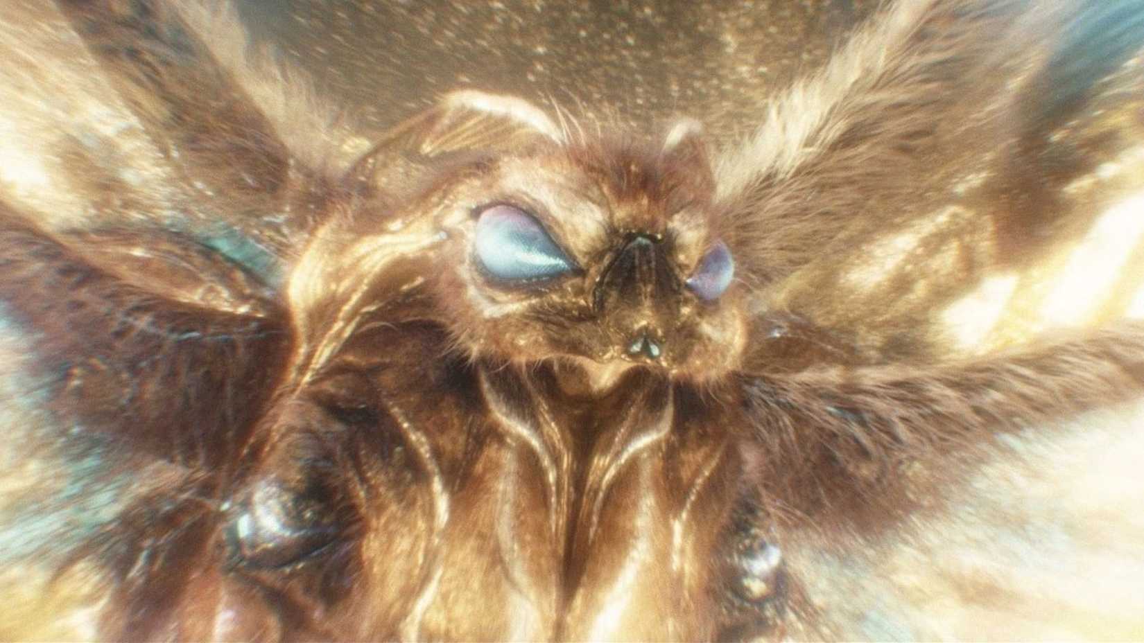 movie web sandbox 7