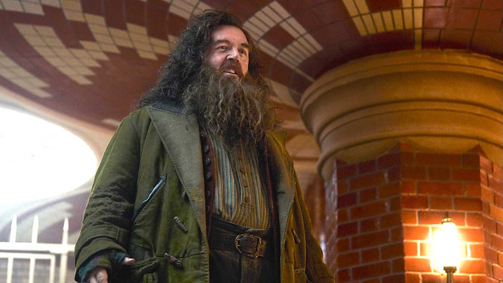 Nick Frost as Rubeus Hagrid in HBO's 'Harry Potter'