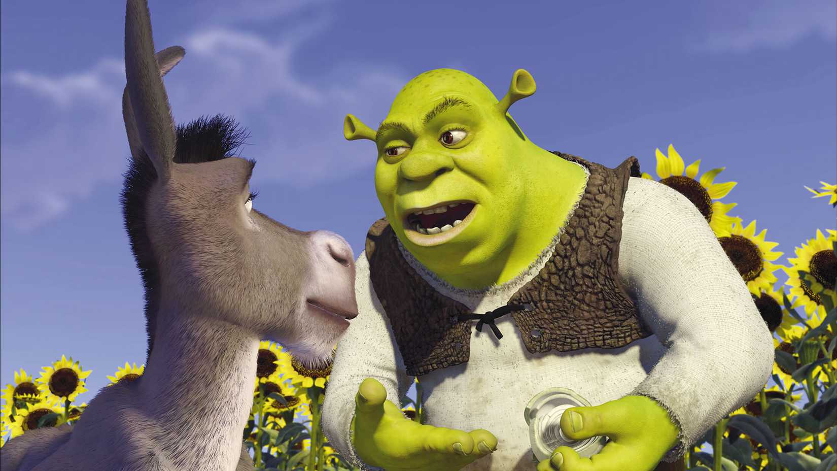 Shrek and Donkey having an intense conversation while standing in a sunflower field in Shrek.