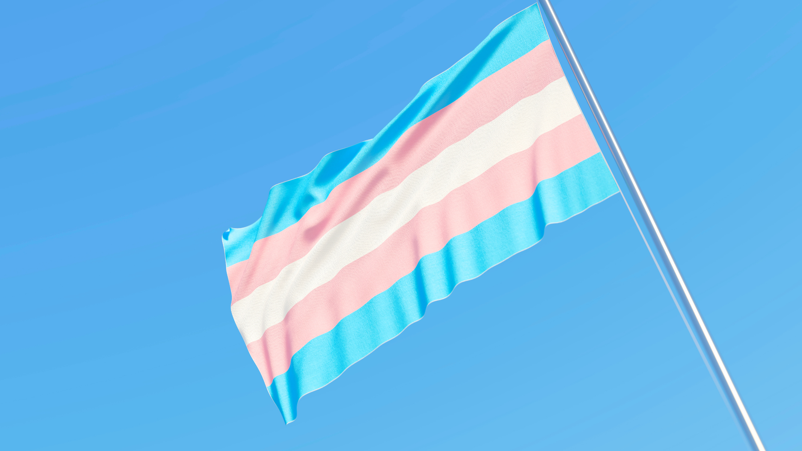 The Transgender Pride Flag