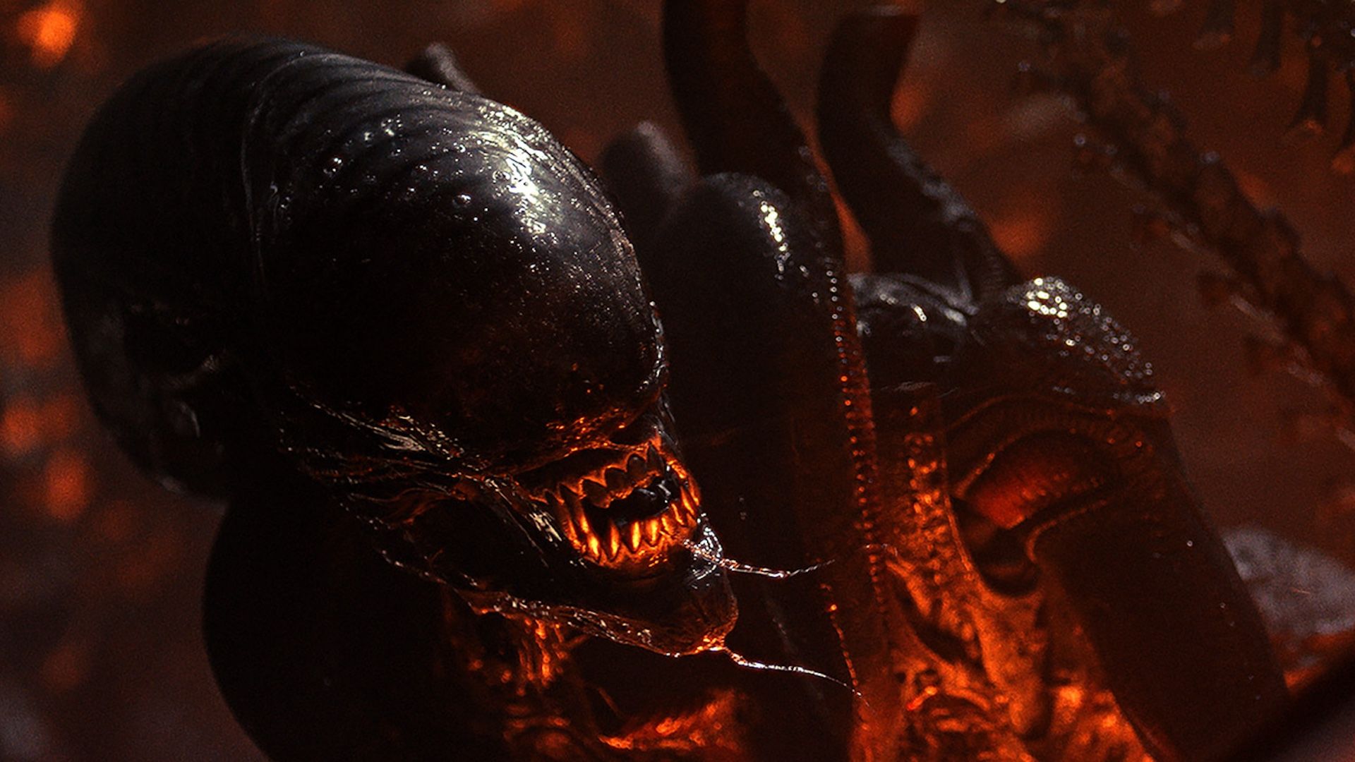 Xenomorfo em Alien Romulus