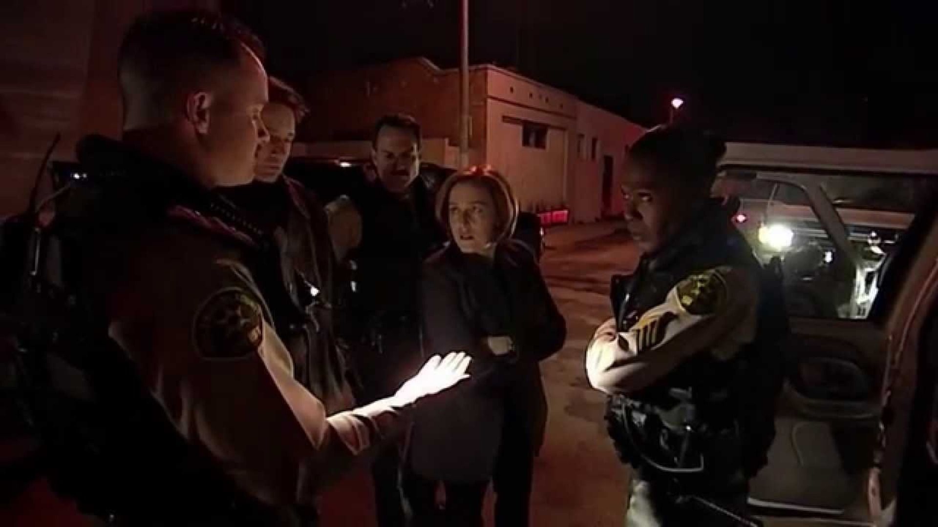 gillian anderson in the x files episode x cops