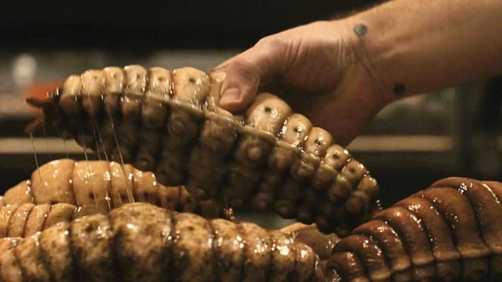 A Flobberworm in HBO's 'Harry Potter'